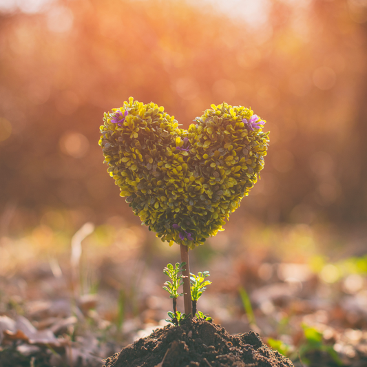 A Sustainable Valentine's Day: Celebrating Love Without the Waste